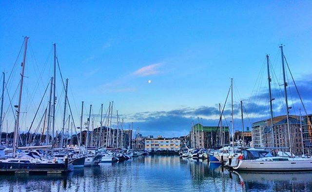 SAILBOATS IN HARBOR