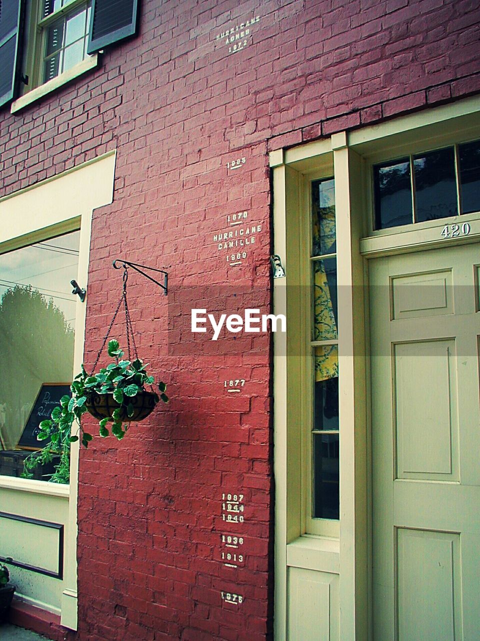 POTTED PLANT ON BUILDING