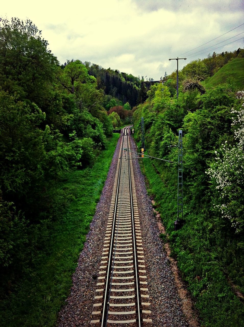 High angle view of railway tracks amidst trees against sky