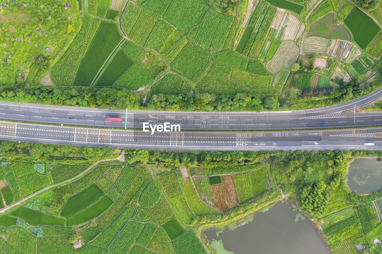 Aerial view of road by plants