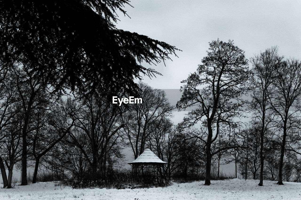 Bare trees on snow covered field against sky