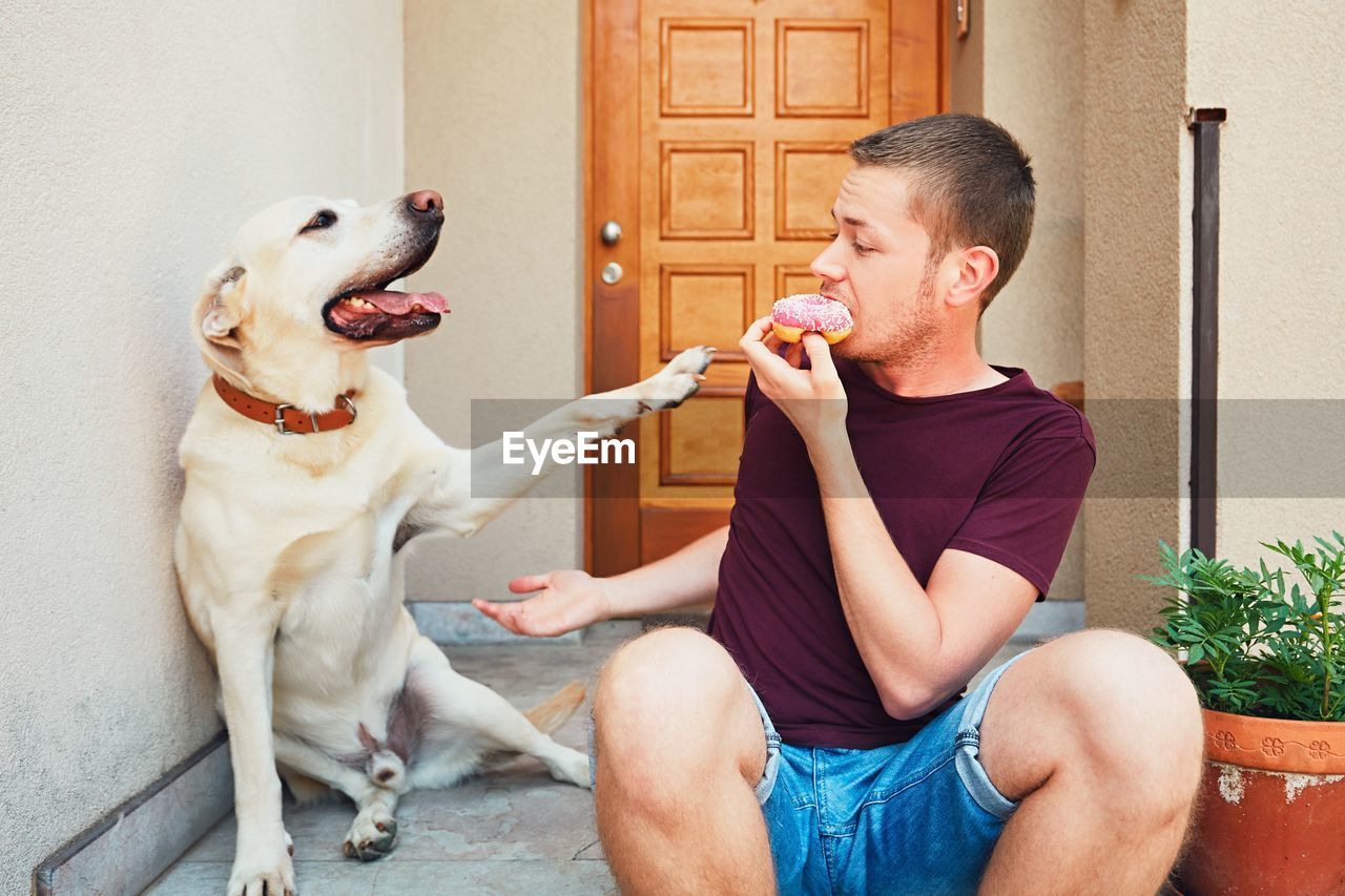 Labrador retriever reaching for man eating donut at entrance of house
