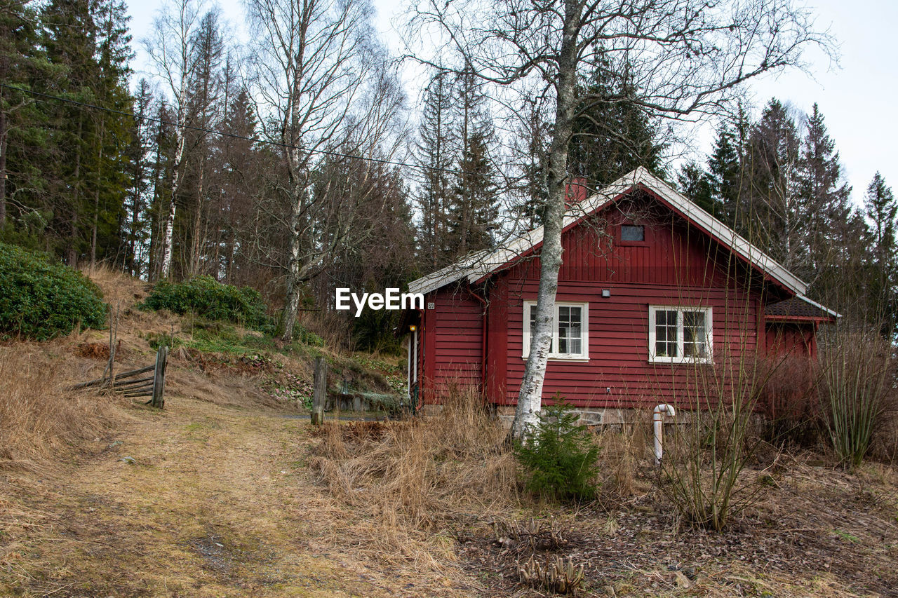 Red house between trees and plants in forest