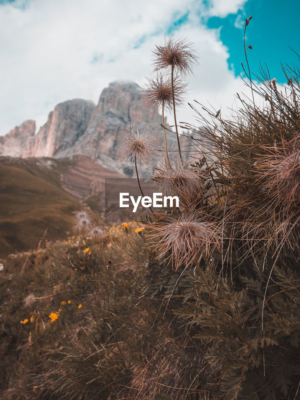 Scenic view of landscape against sky. dolomites, italy.