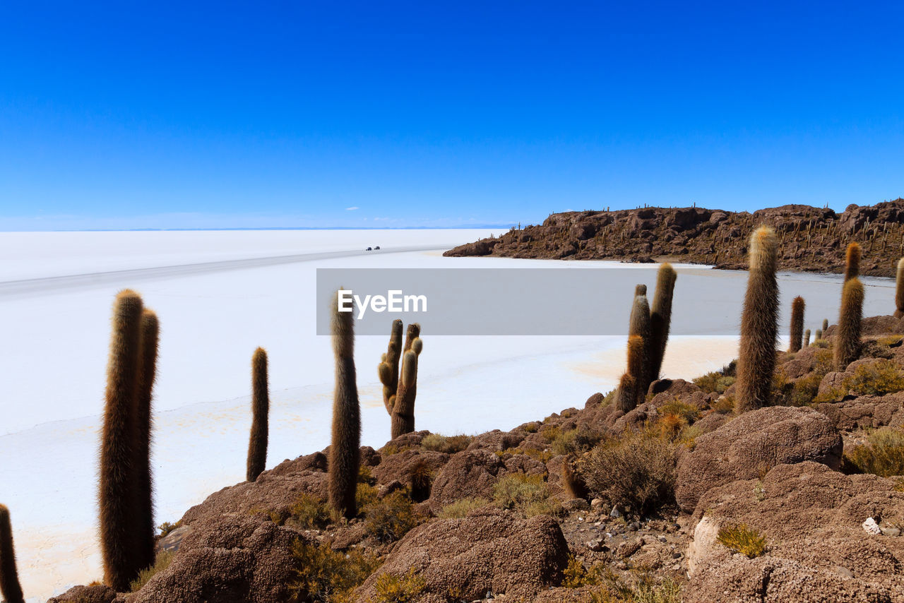 ROCKS ON SHORE AGAINST CLEAR SKY