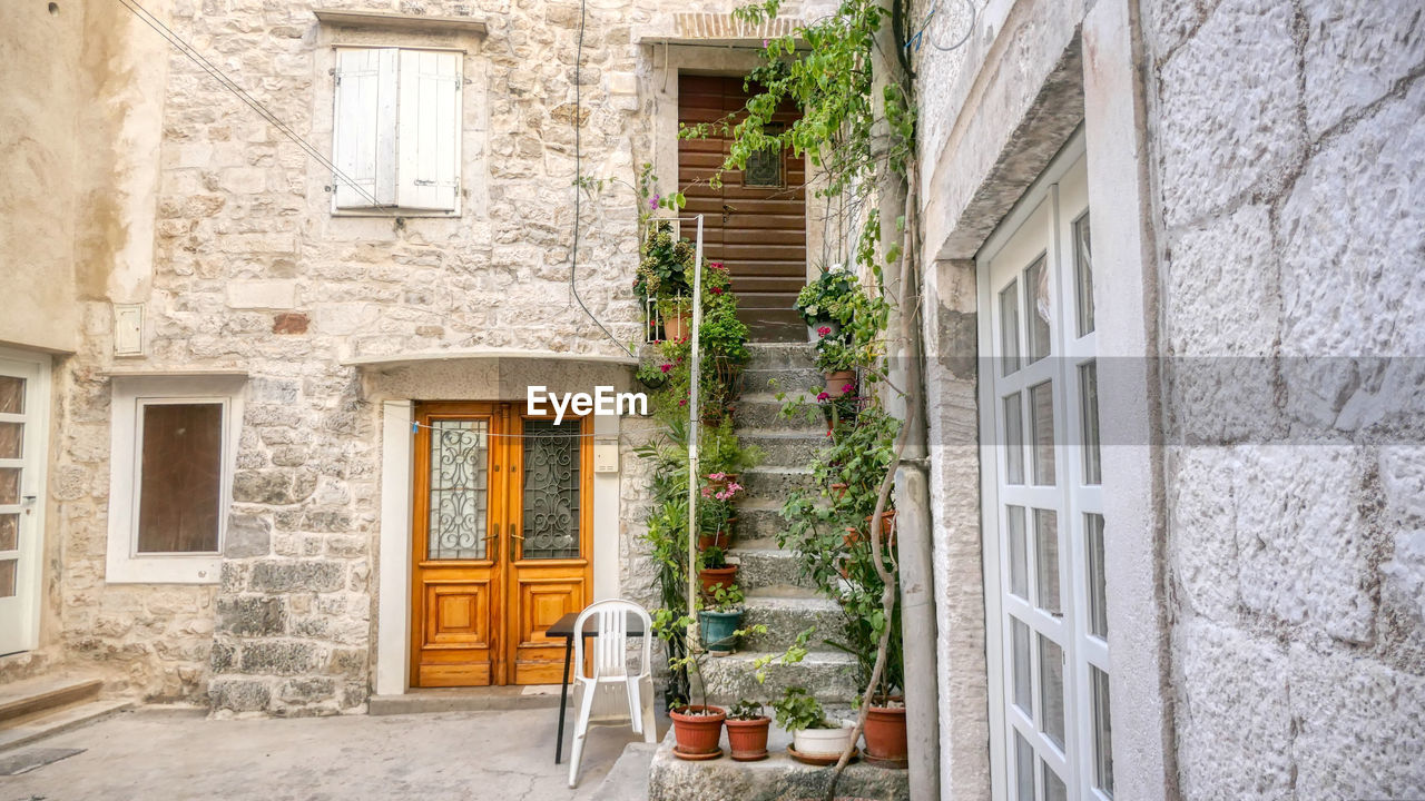 Plants growing outside building in trogir