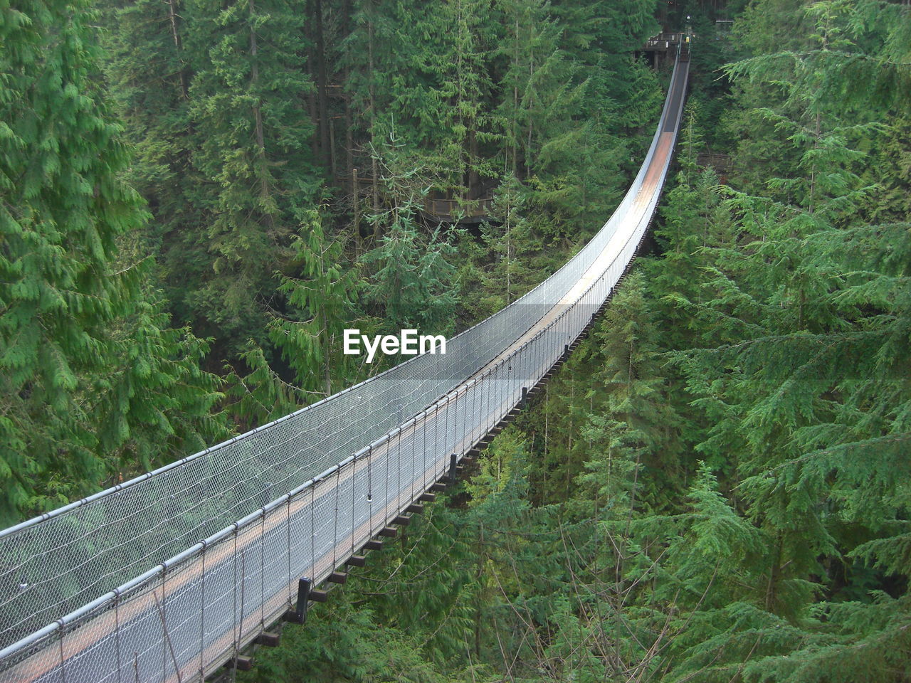 High angle view of empty capilano suspension bridge amidst trees