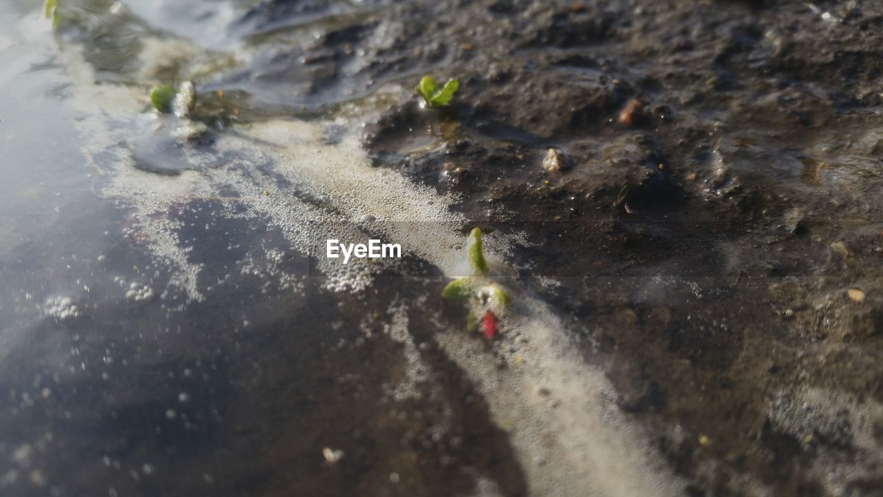 HIGH ANGLE VIEW OF CLOSE-UP OF WATER IN SHALLOW