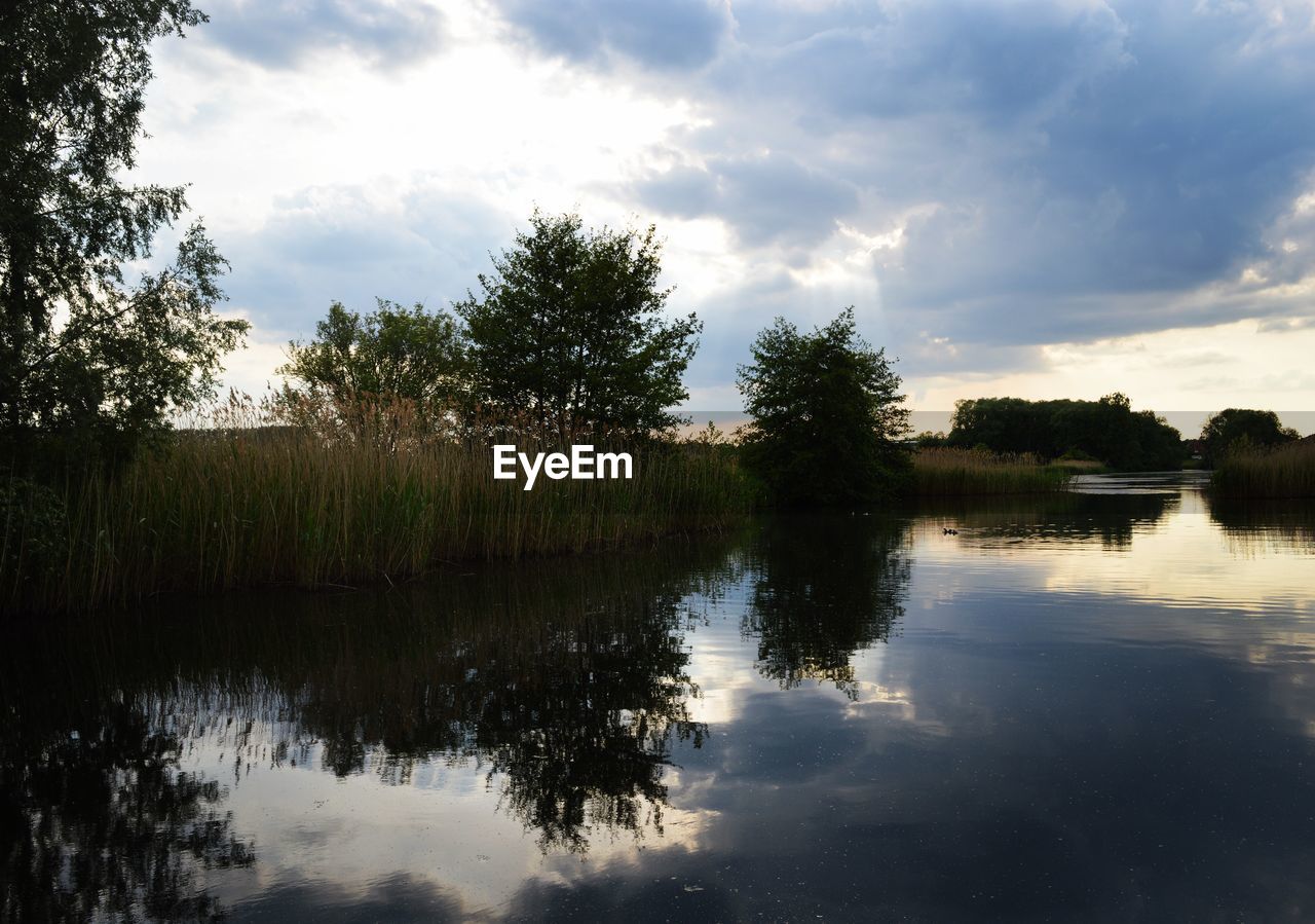 TREES BY LAKE AGAINST SKY