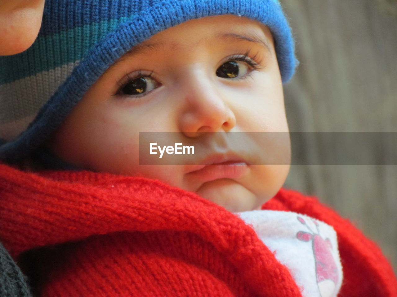 Close-up portrait of boy