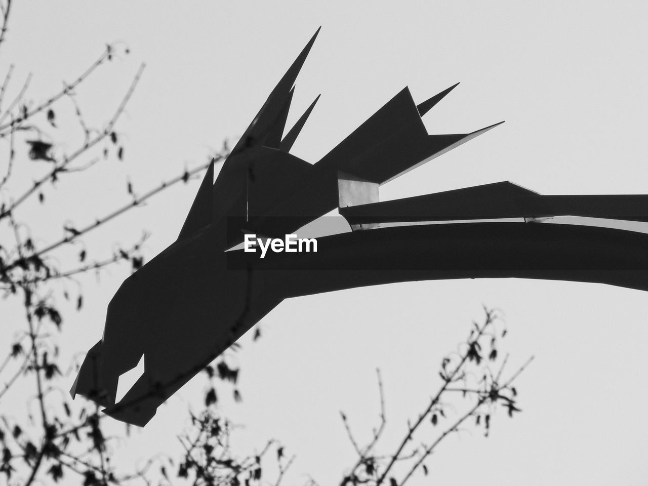 CLOSE-UP OF SILHOUETTE BIRD FLYING AGAINST CLEAR SKY