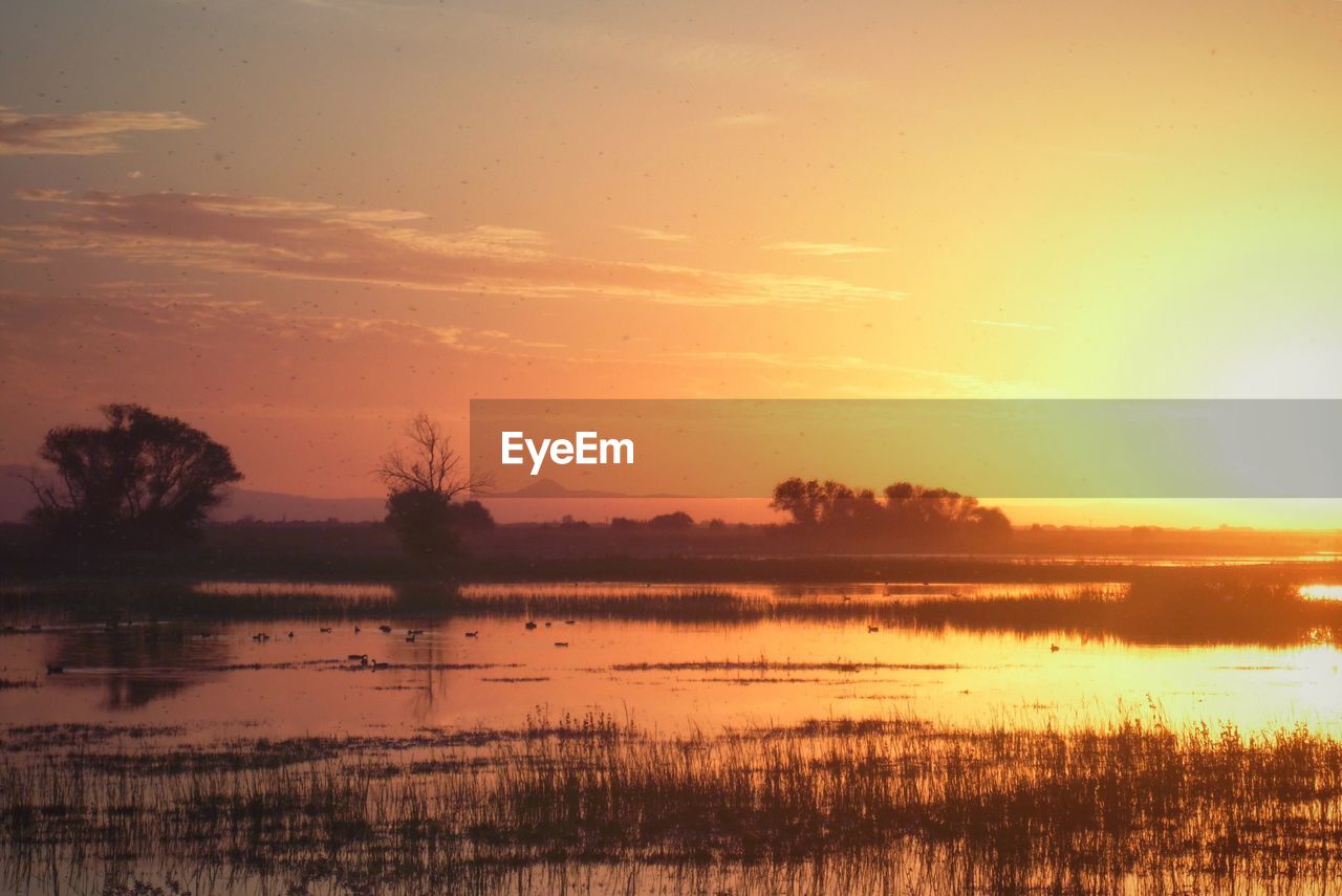 Scenic shot of calm countryside lake at sunset