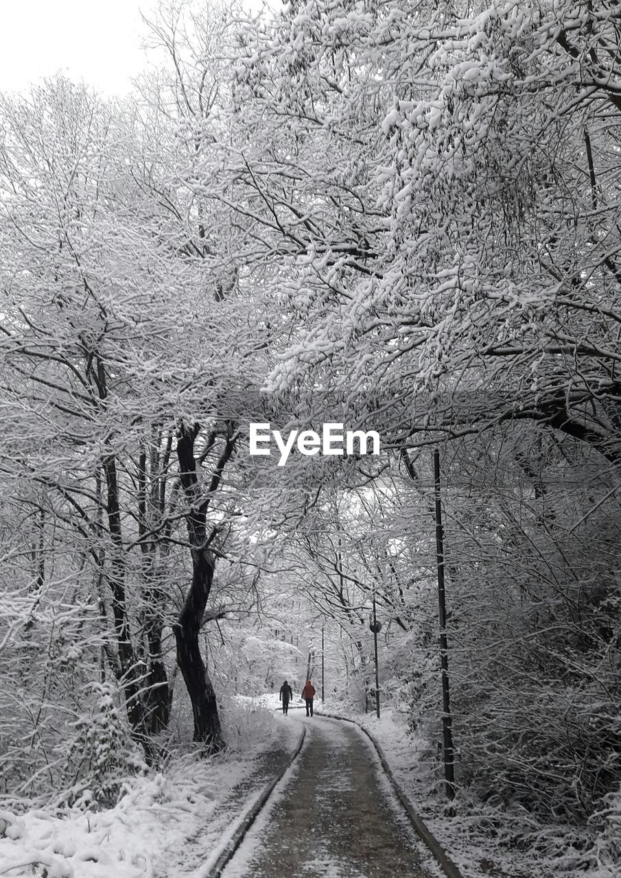 tree, snow, plant, winter, nature, transportation, bare tree, black and white, cold temperature, the way forward, branch, day, road, walking, land, beauty in nature, monochrome photography, monochrome, frost, freezing, outdoors, scenics - nature, tranquility, non-urban scene, forest, men, lifestyles, leisure activity, tranquil scene, rear view, growth, diminishing perspective, travel, full length, footpath, environment, two people, fog, mode of transportation, covering