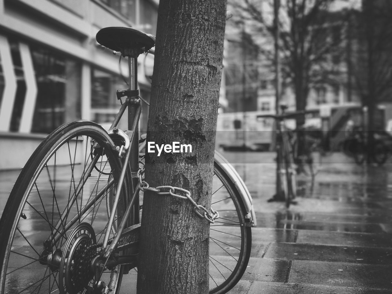 Bicycle parked by tree