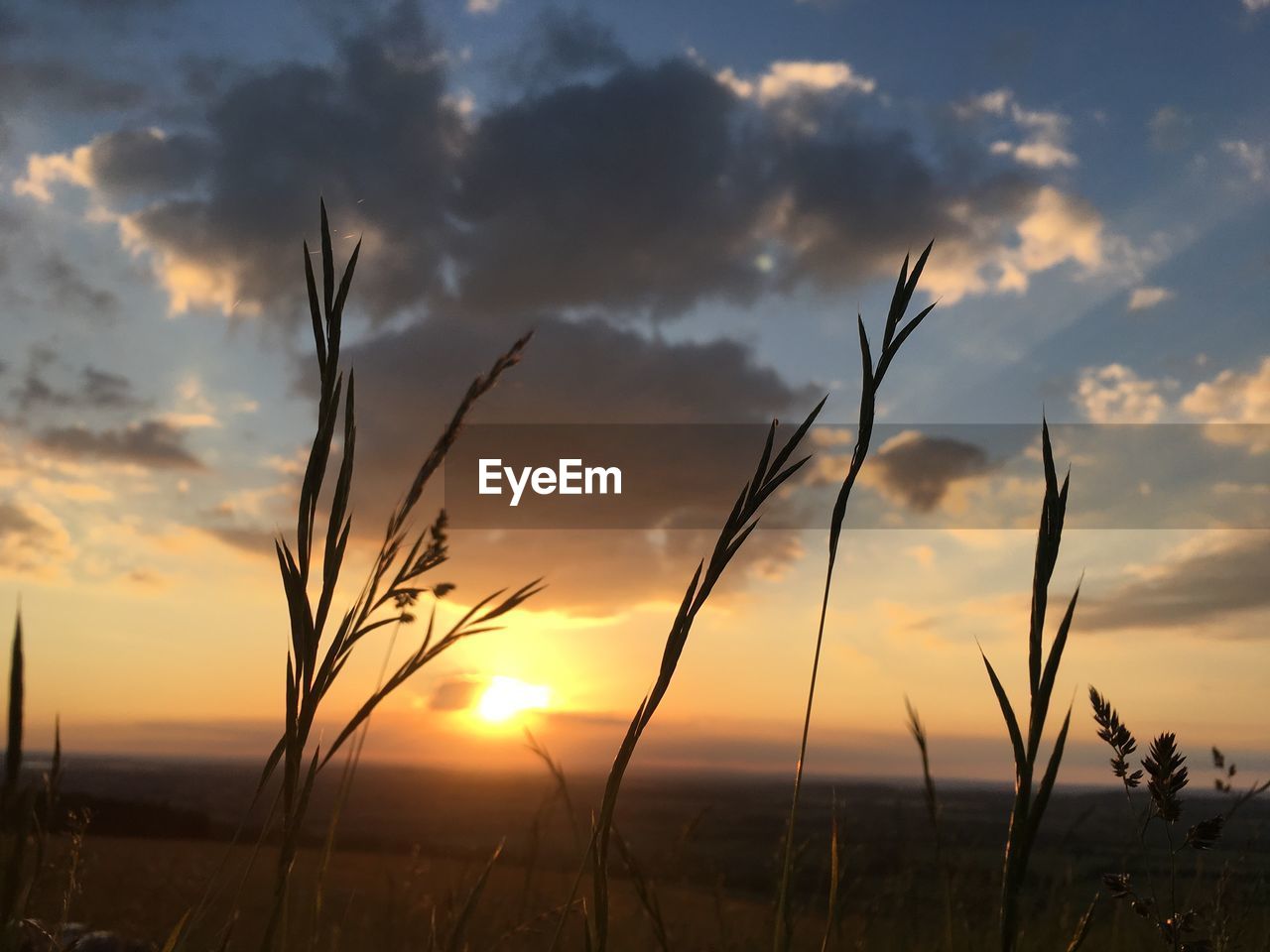 SCENIC VIEW OF SUNSET OVER FIELD