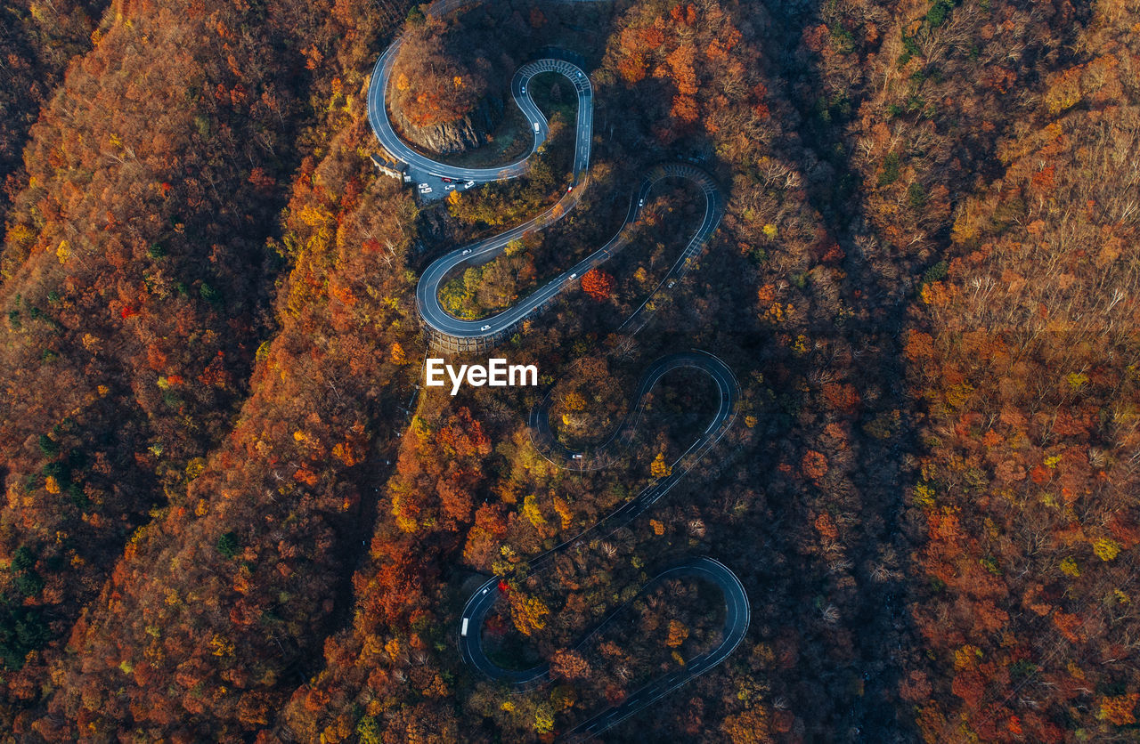 HIGH ANGLE VIEW OF RUSTY METAL AMIDST TREES DURING AUTUMN
