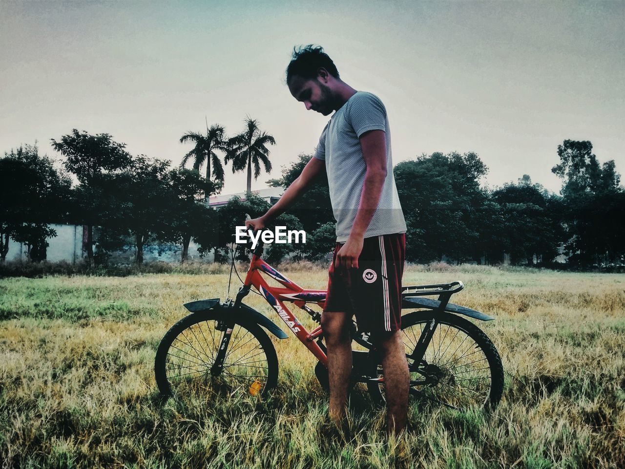 YOUNG MAN RIDING BICYCLE ON FIELD