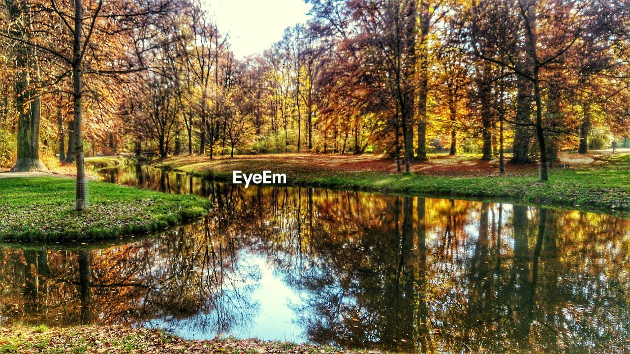 REFLECTION OF TREES ON LAKE