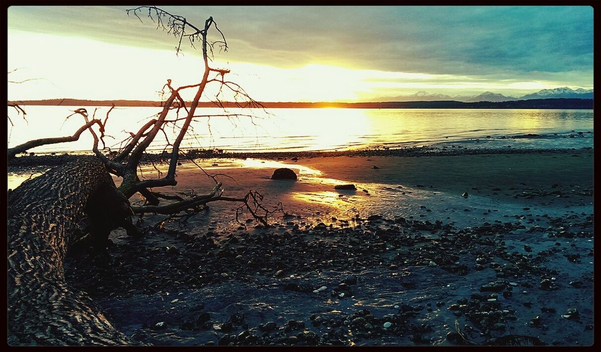 SCENIC VIEW OF SUNSET OVER SEA