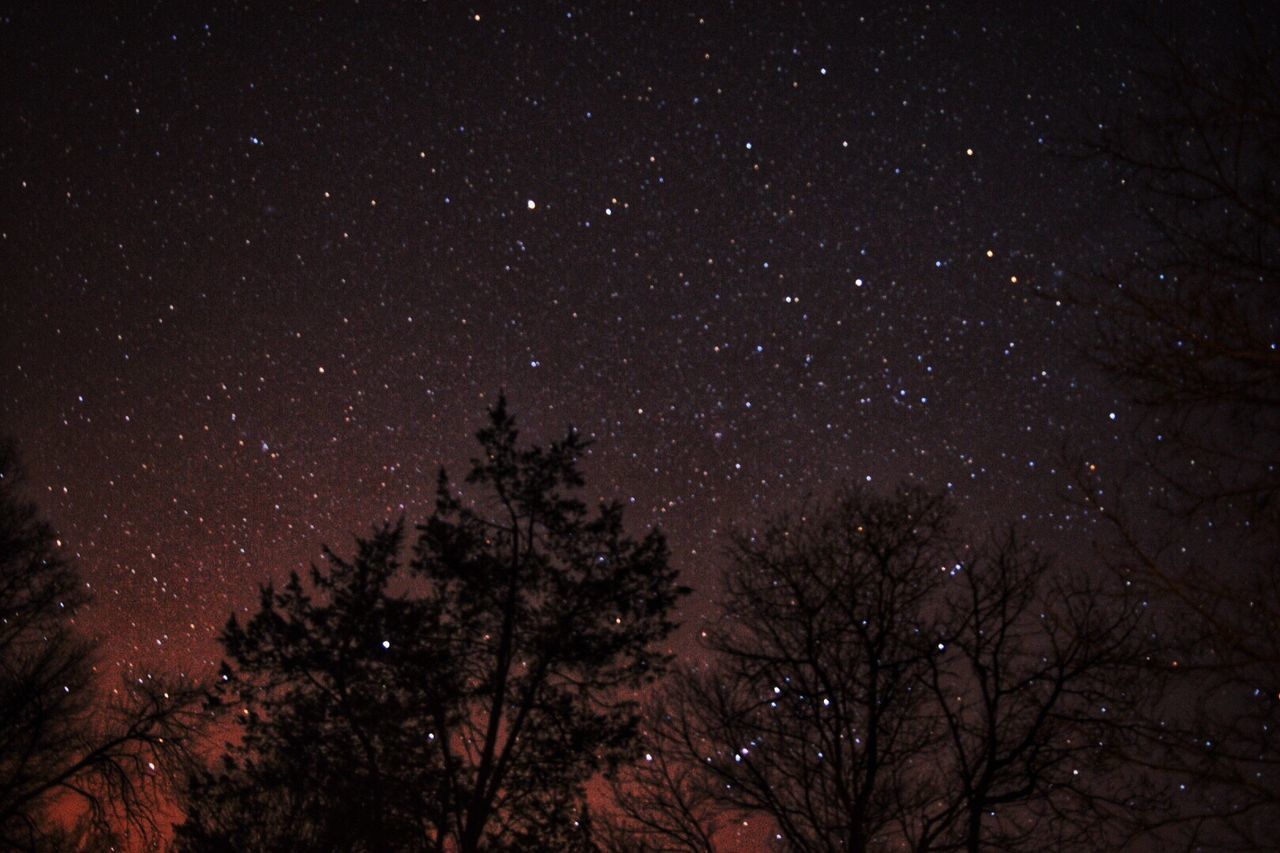 LOW ANGLE VIEW OF STARS IN SKY