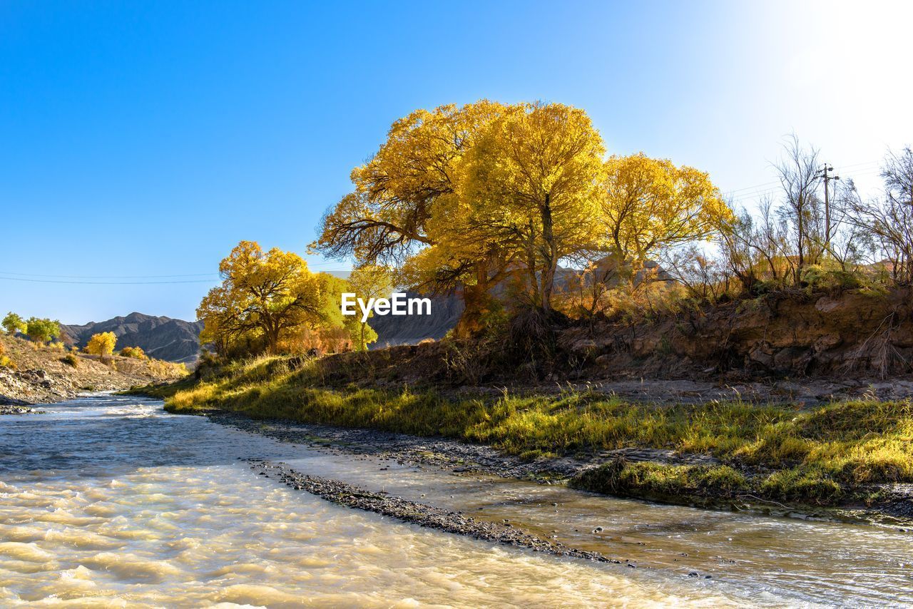 Scenic view of landscape against blue sky