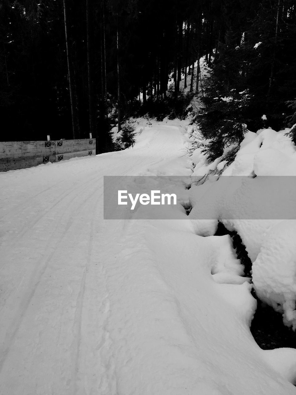 CLOSE-UP OF SNOW COVERED TREES