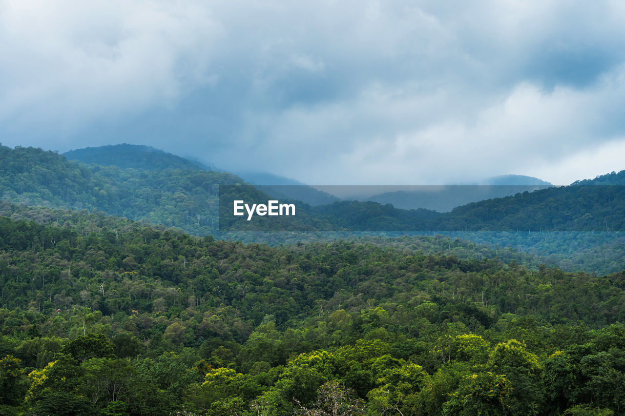 SCENIC VIEW OF GREEN LANDSCAPE AGAINST SKY