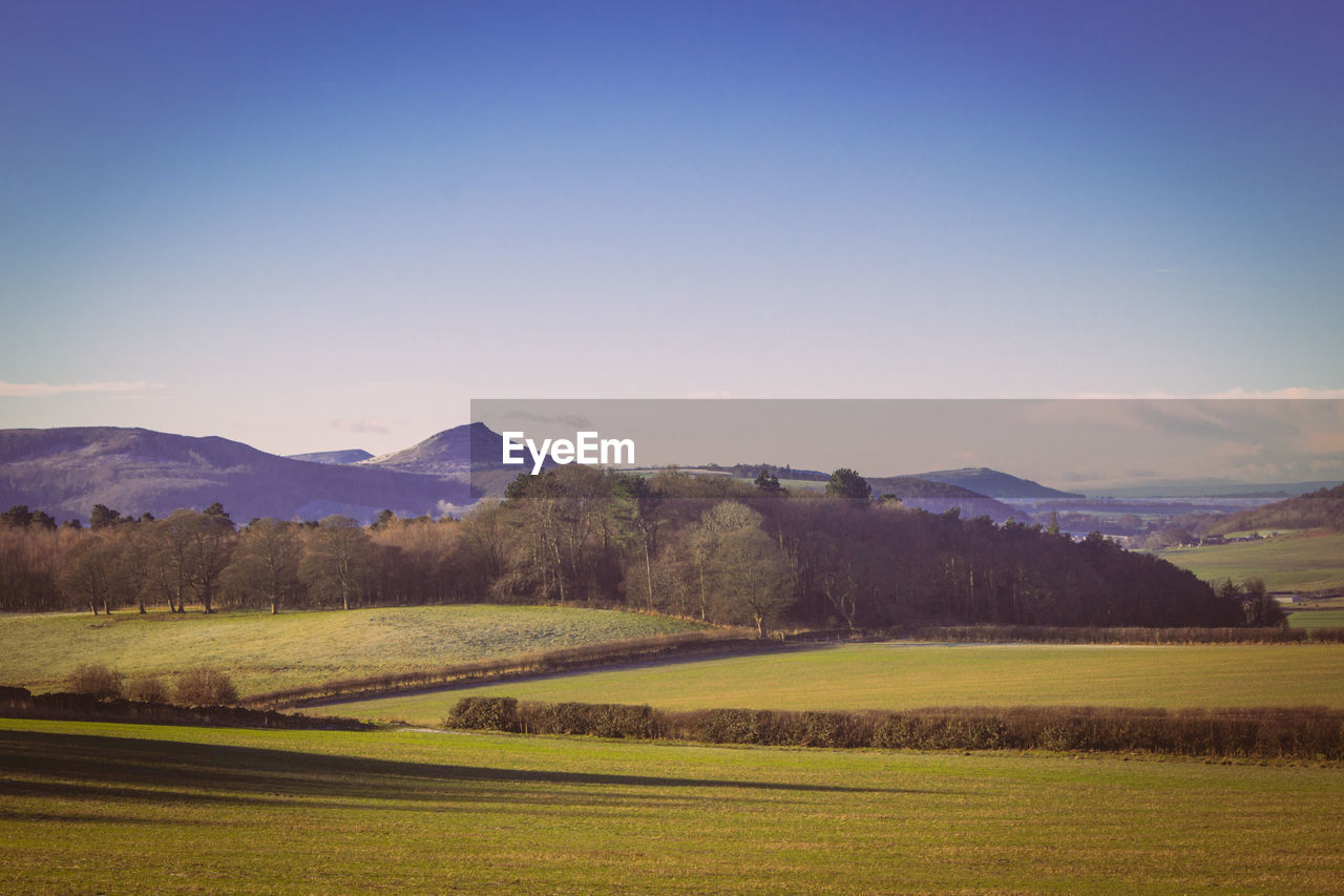 Roseberry topping 