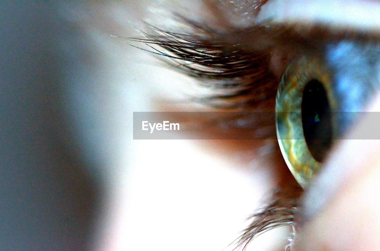 Detail shot of human eye with lashes