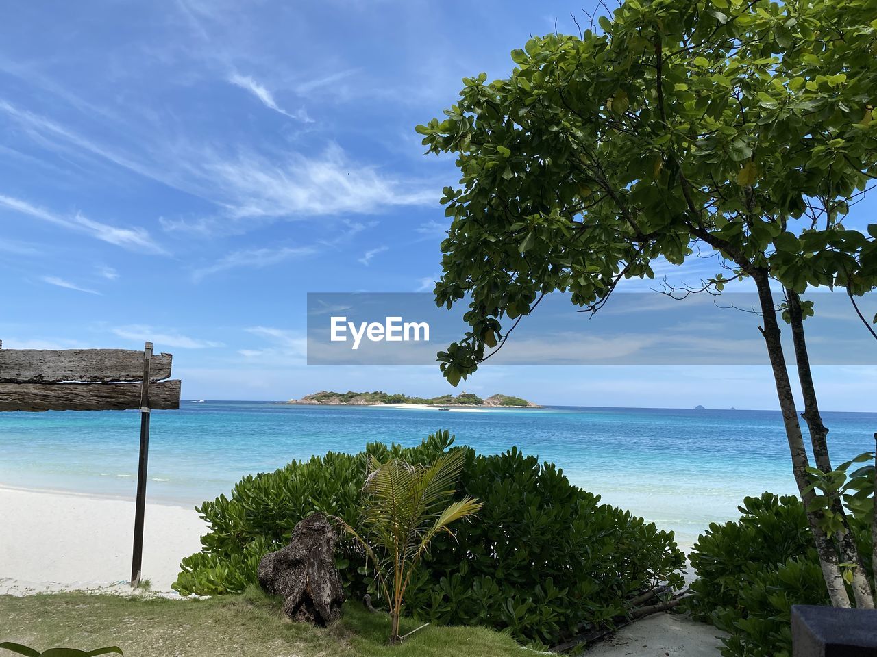 TREES ON BEACH AGAINST SKY