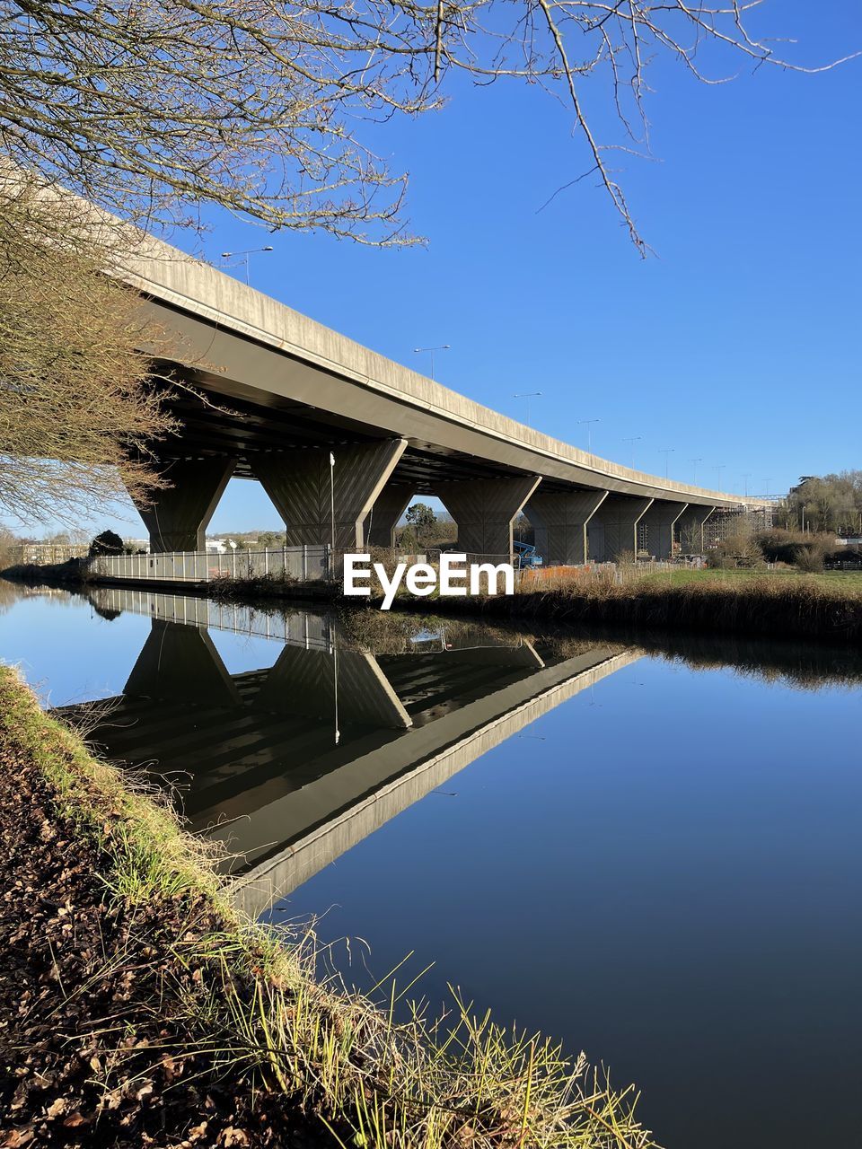 sky, plant, nature, clear sky, tree, architecture, low angle view, built structure, blue, no people, day, landmark, outdoors, bridge, tower, sunny, reflection