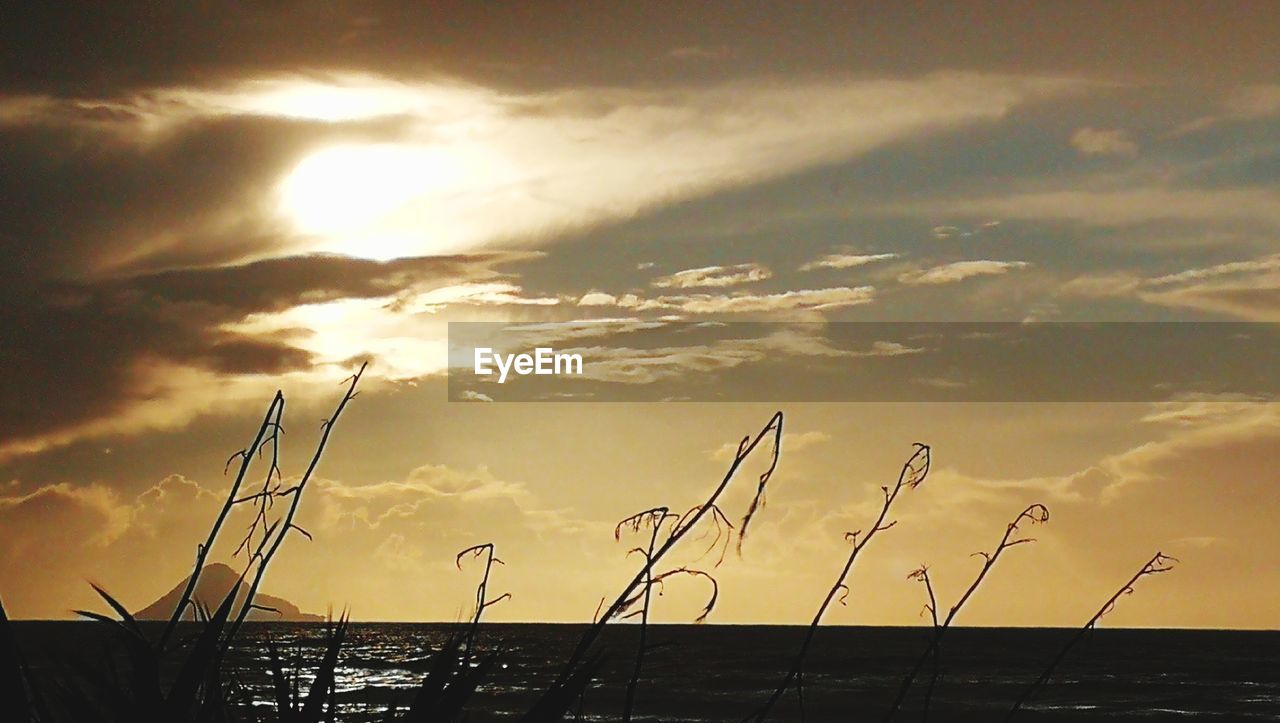 LOW ANGLE VIEW OF CRANES AGAINST SKY DURING SUNSET