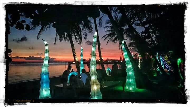 VIEW OF PALM TREES IN WATER