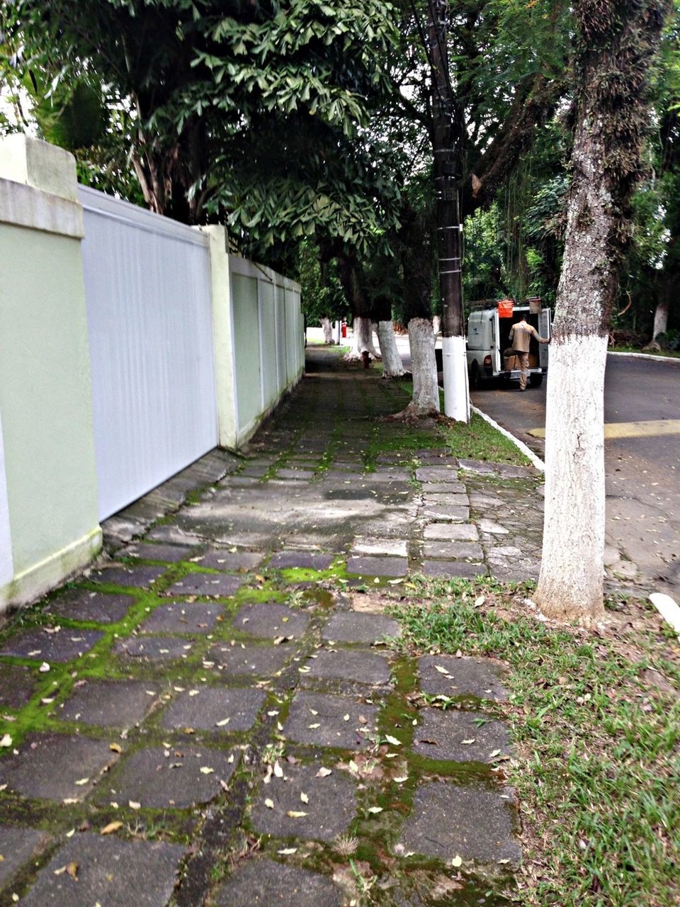 WALKWAY IN PARK