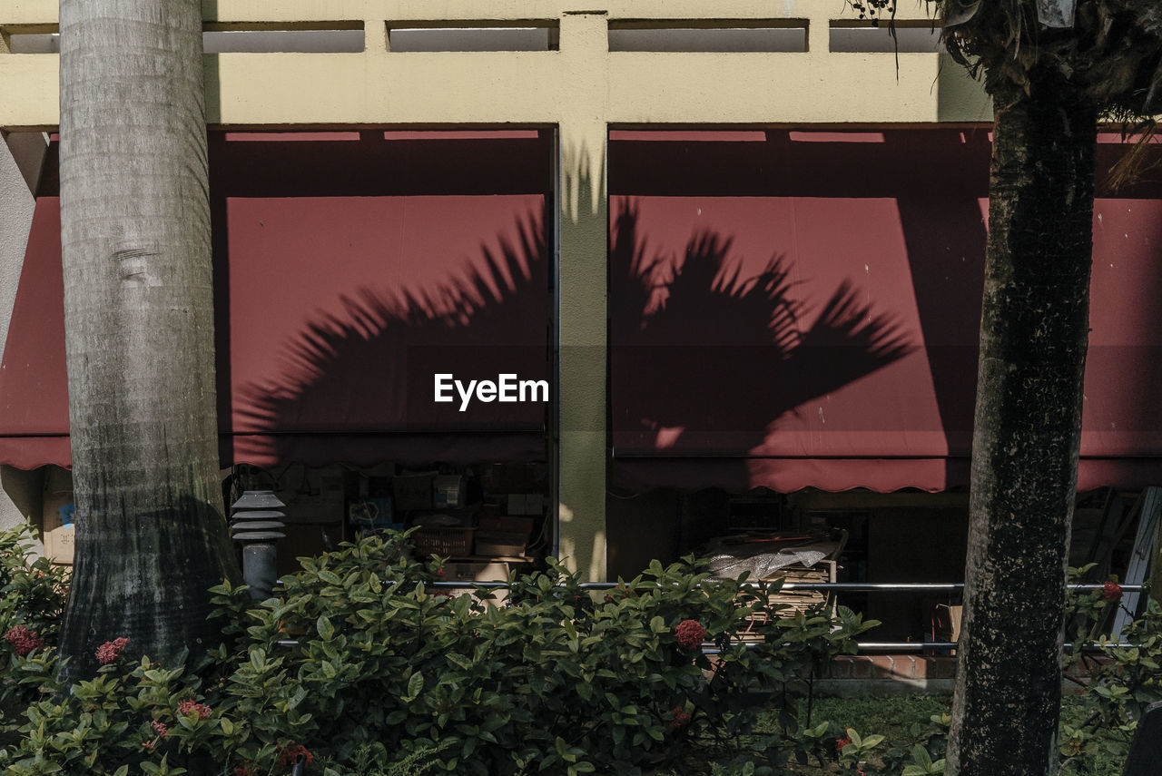 VIEW OF PALM TREES AND BUILDINGS
