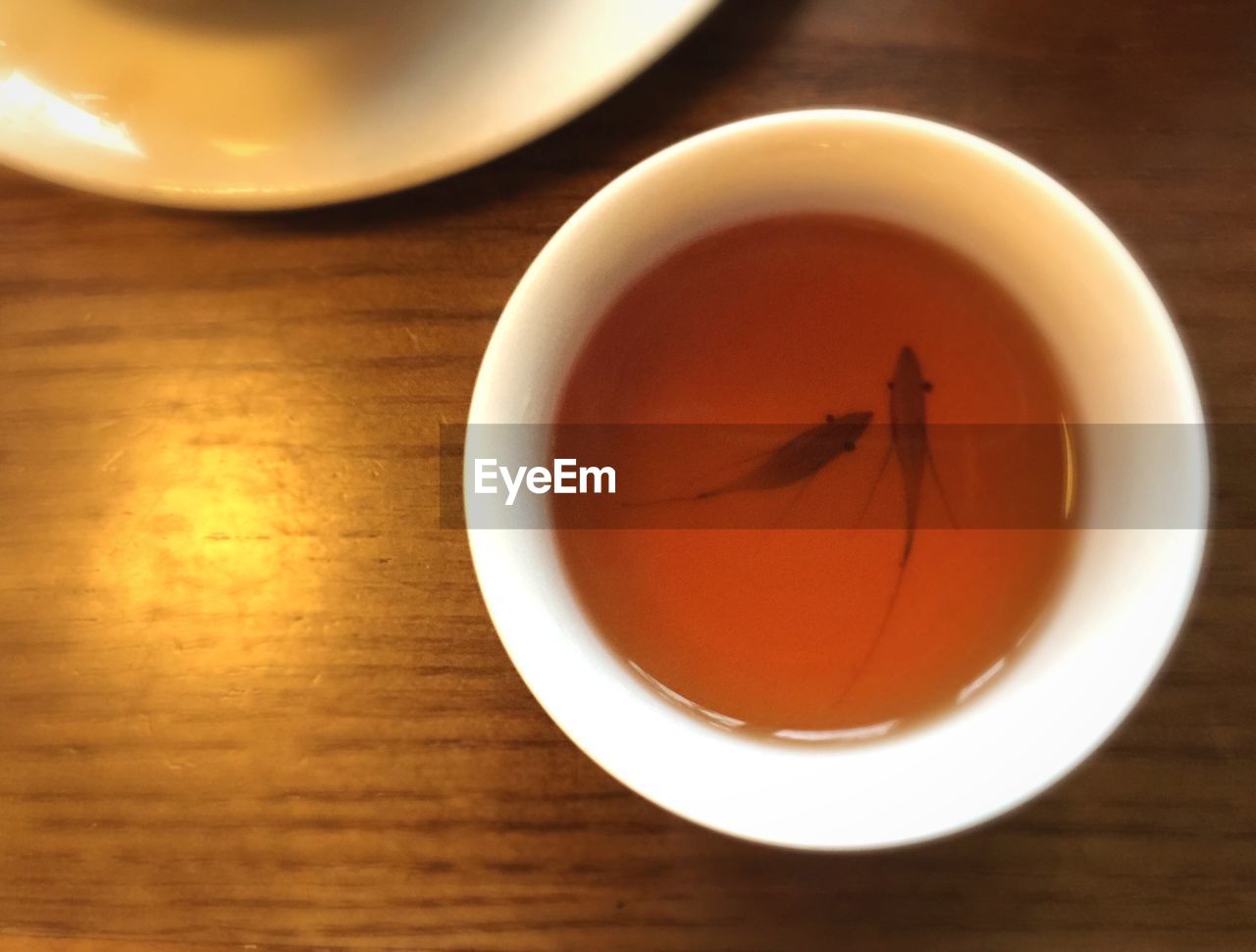 High angle view of two fish in tea