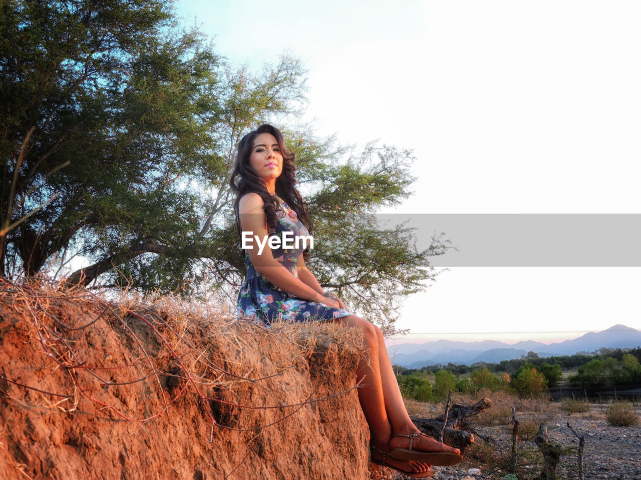 PORTRAIT OF YOUNG WOMAN SITTING AGAINST TREE