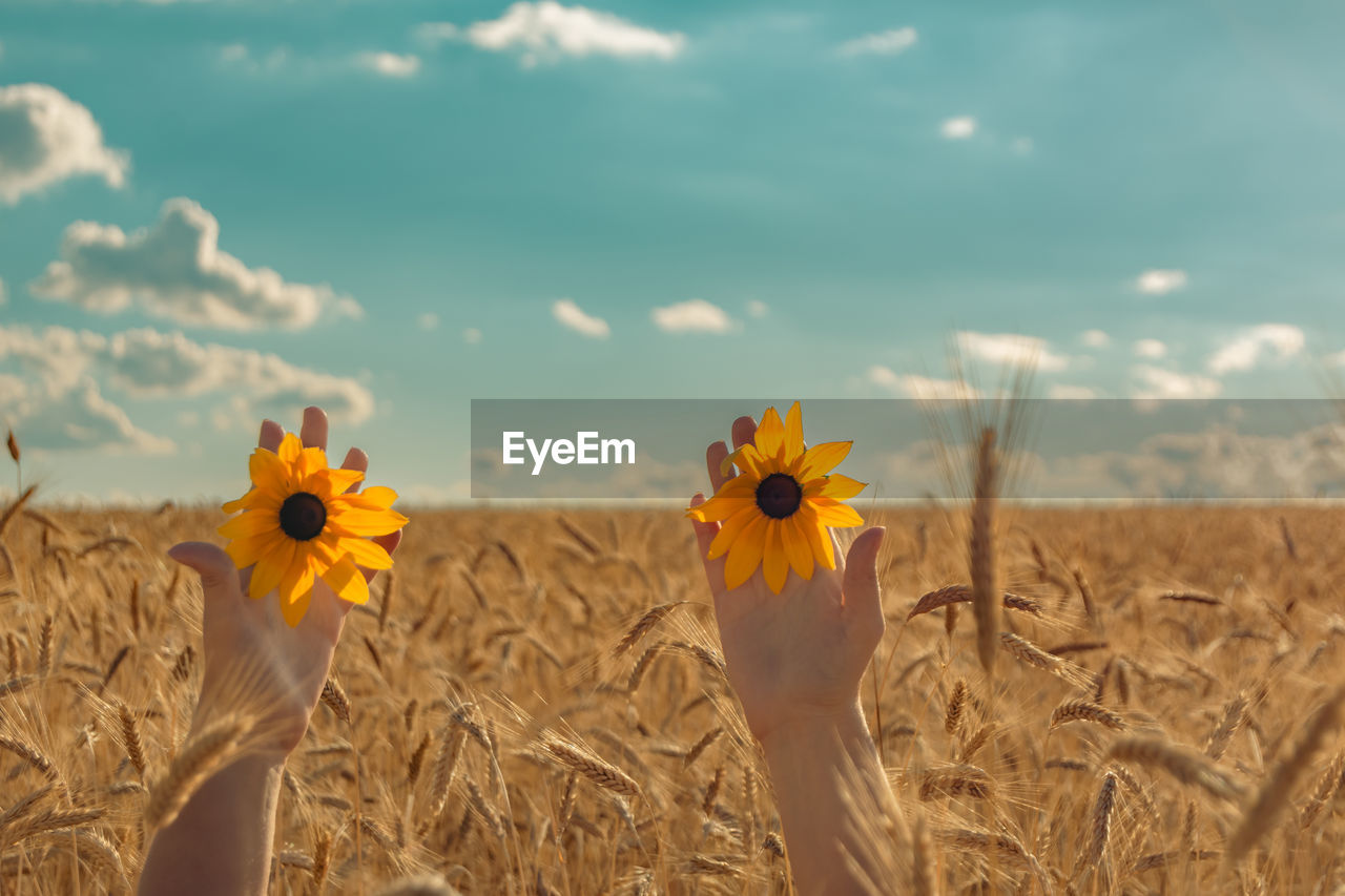 Cropped hand of woman holding yellow flower against sky