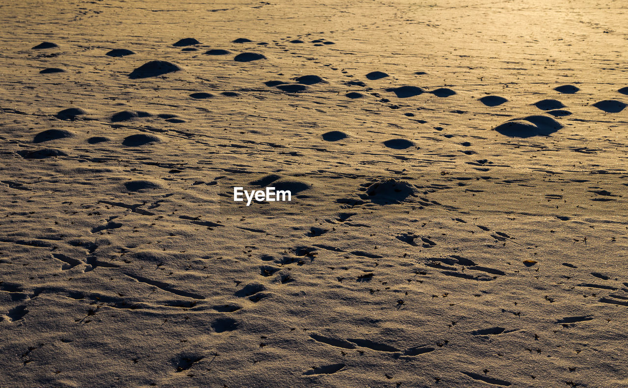 Close-up of footprints on sand at beach