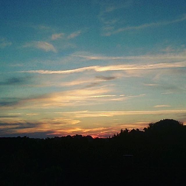 SILHOUETTE TREES ON LANDSCAPE AGAINST SKY AT SUNSET