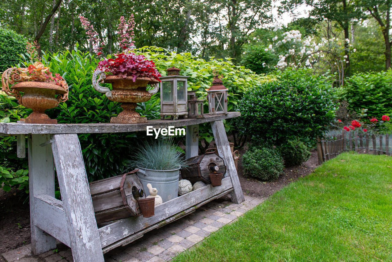 View of plants in garden
