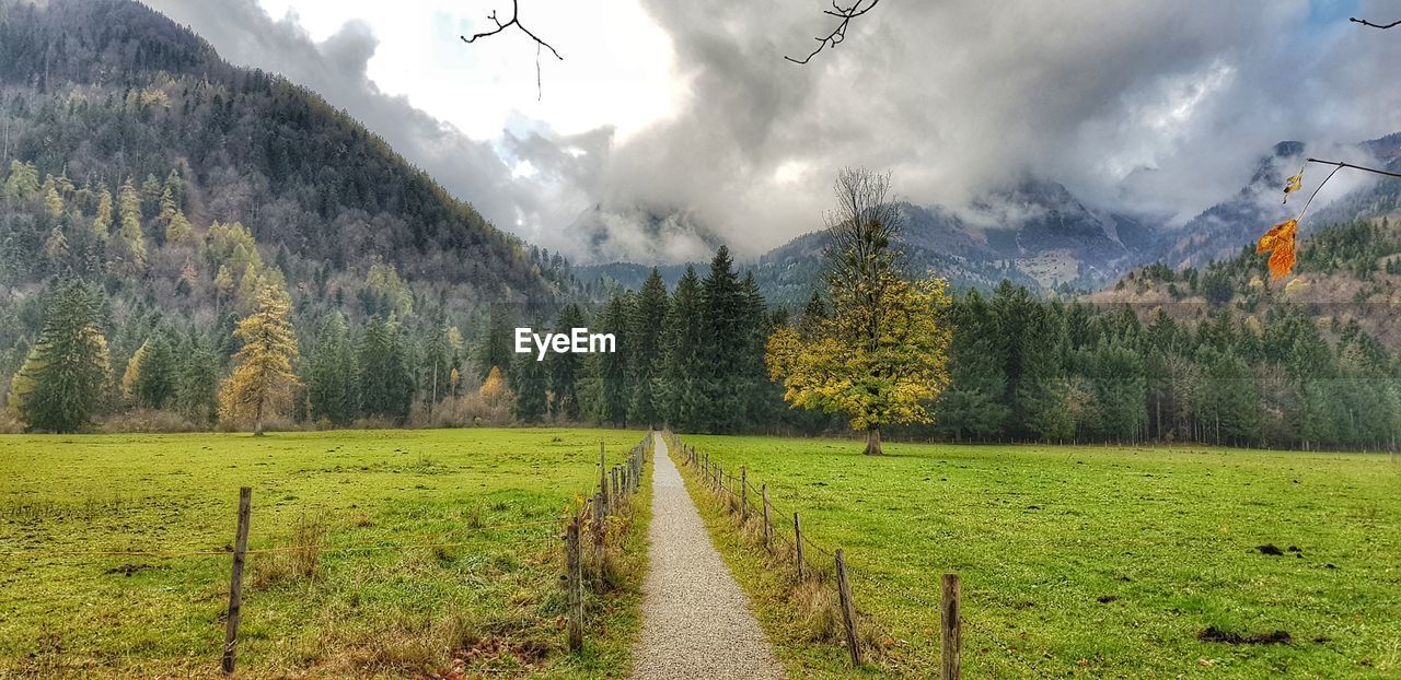 PANORAMIC VIEW OF FIELD AND TREES AGAINST SKY