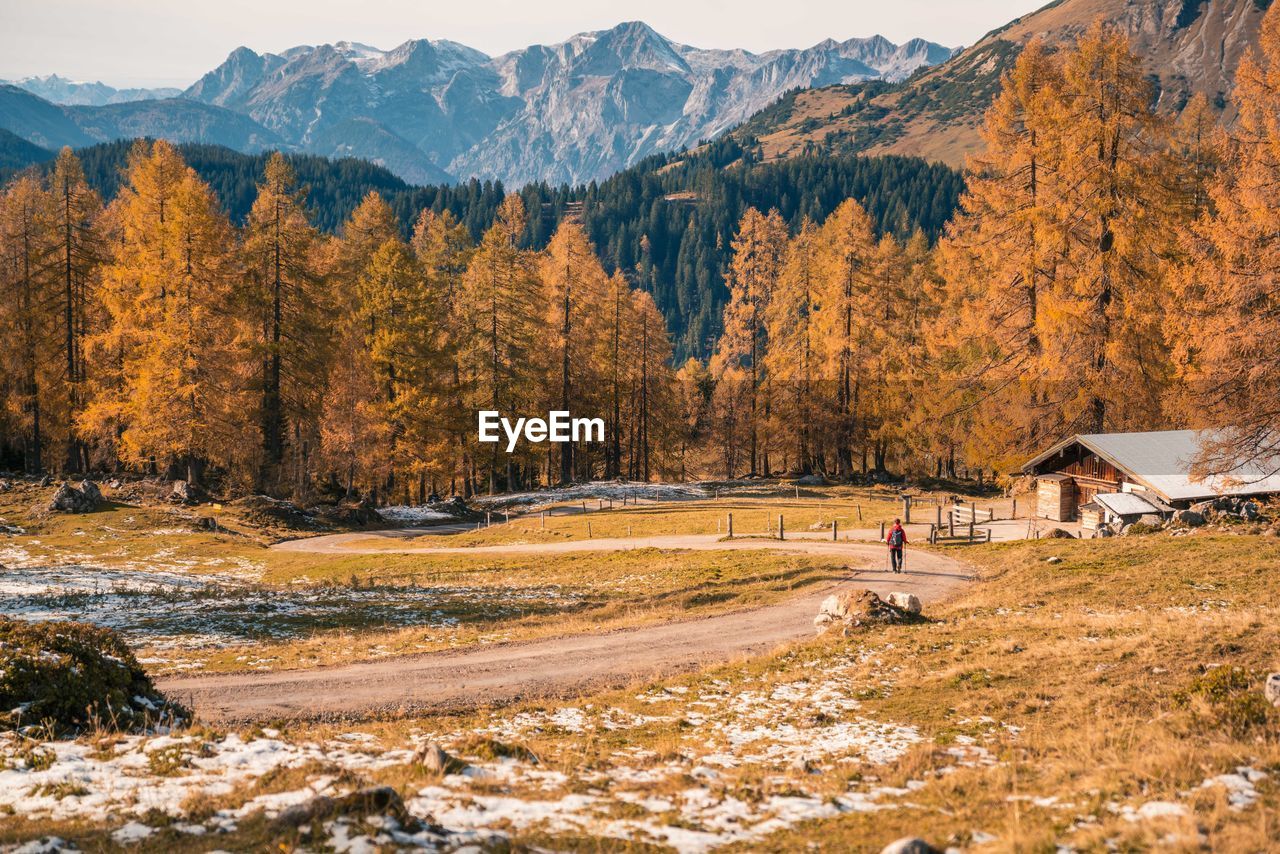 Rear view of woman hiking in forest against sky during winter