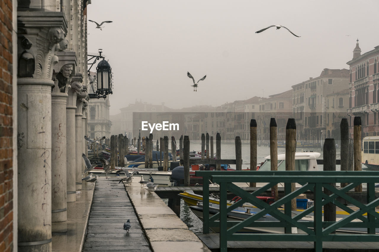 Foggy venice