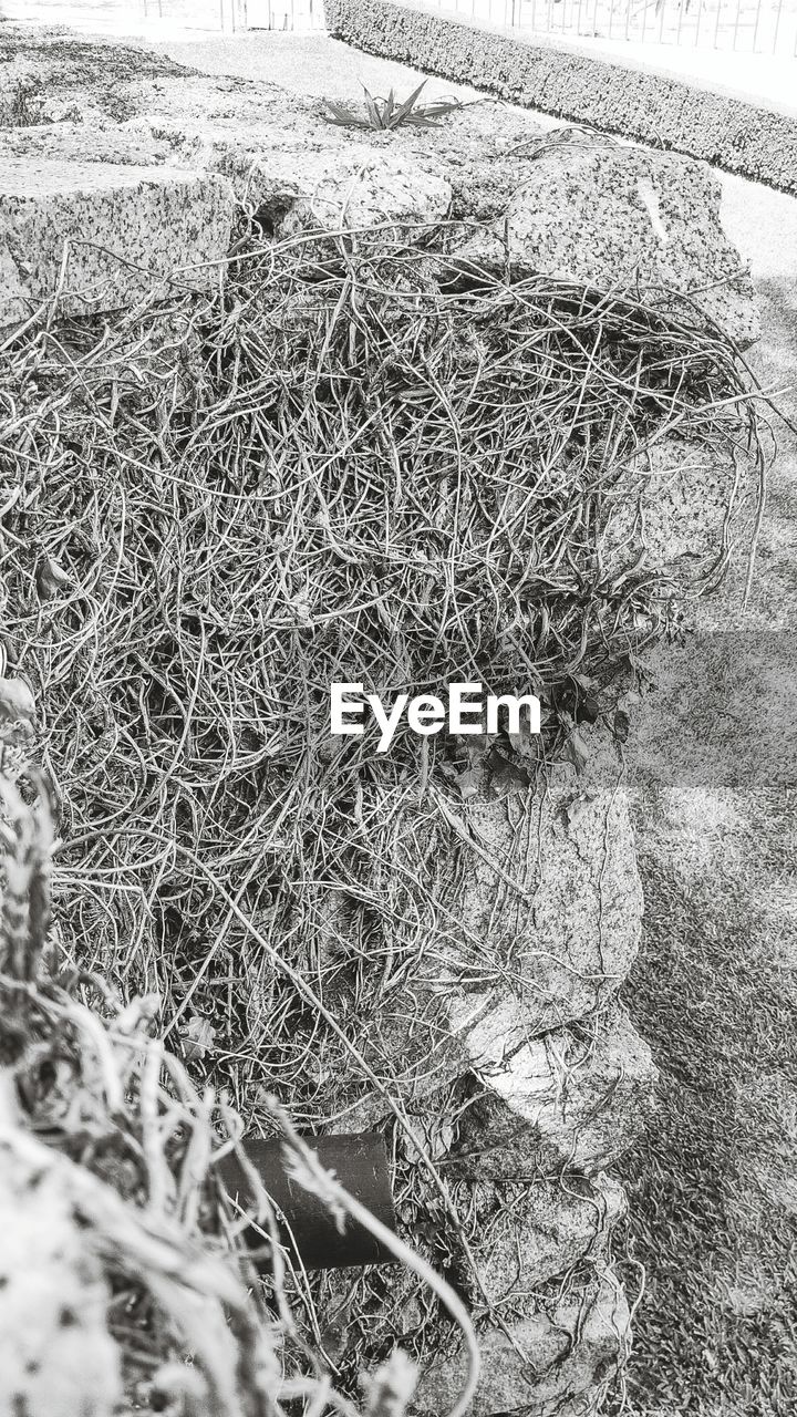 HIGH ANGLE VIEW OF FISHING NET ON GRASS