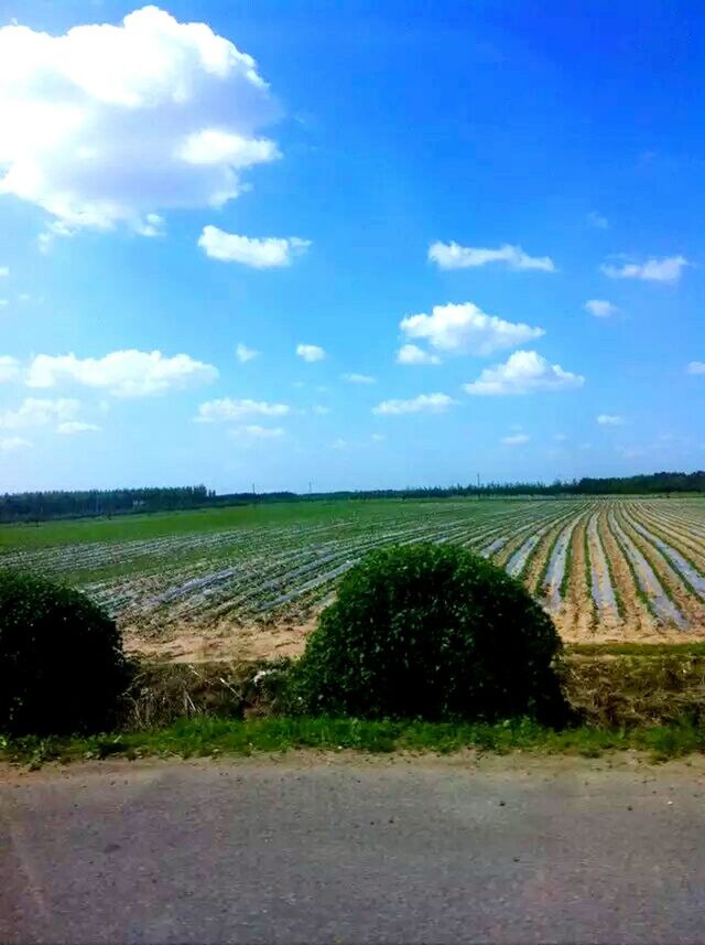 VIEW OF RURAL LANDSCAPE