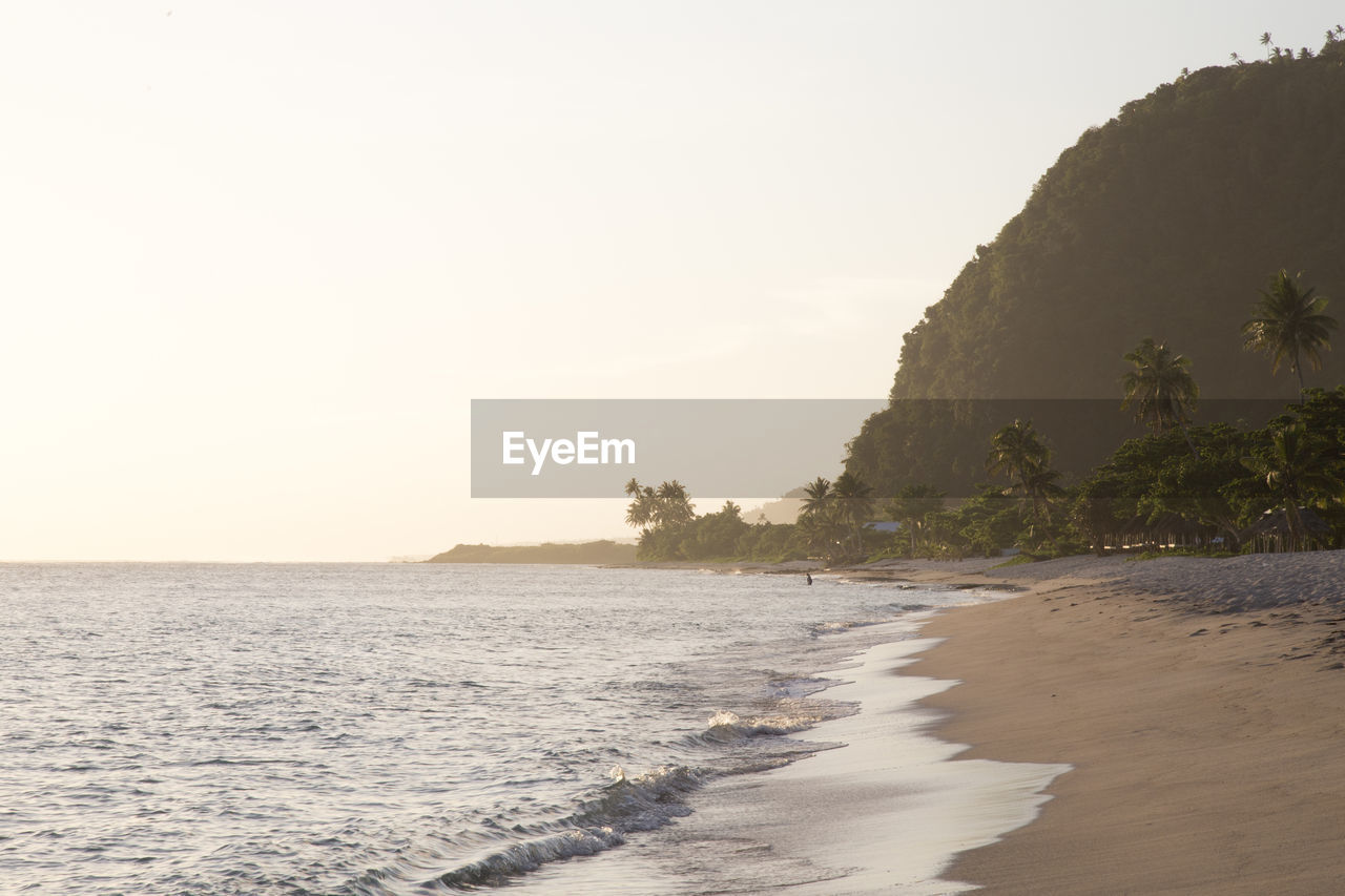 Misty golden sunset at sandy tropical beach with leaning palm trees