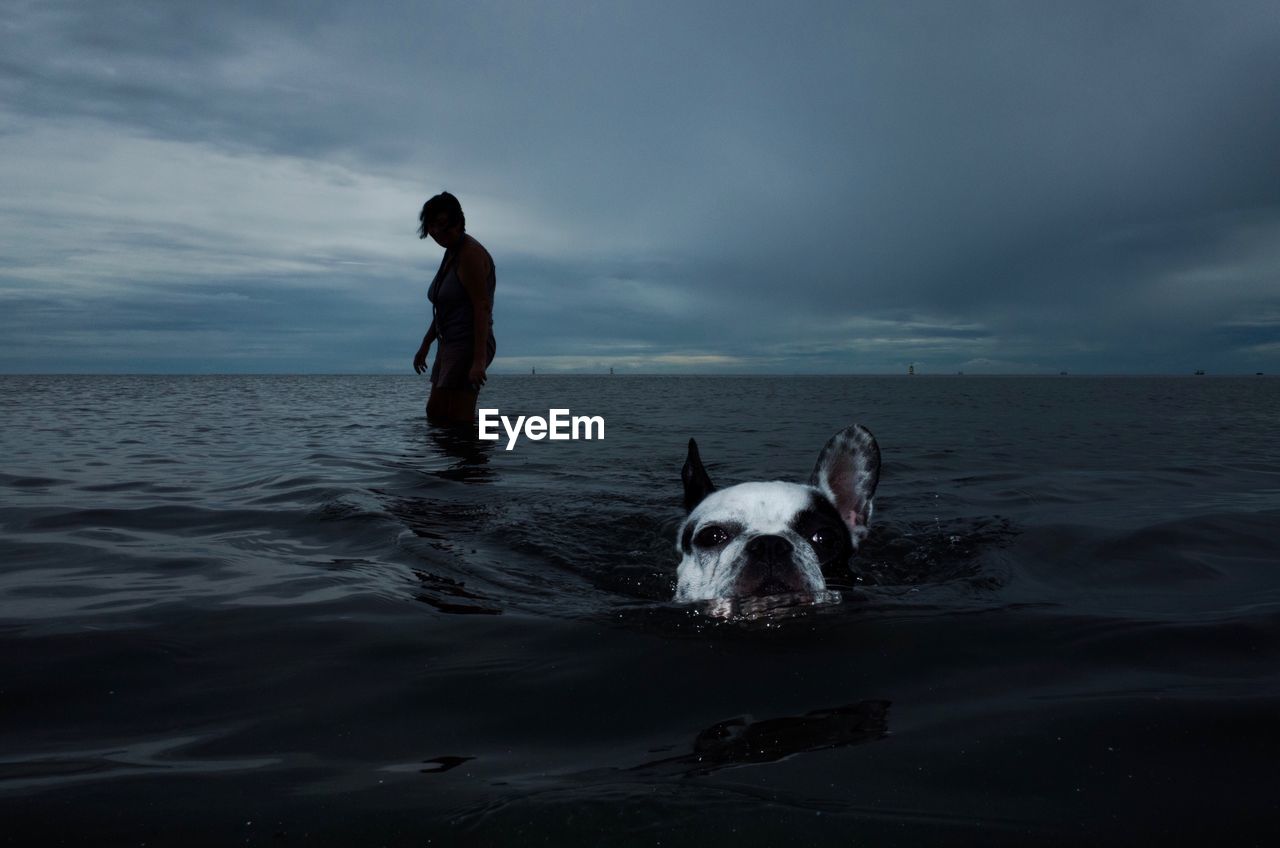 Silhouette woman swimming in sea with dog against cloudy sky during sunset