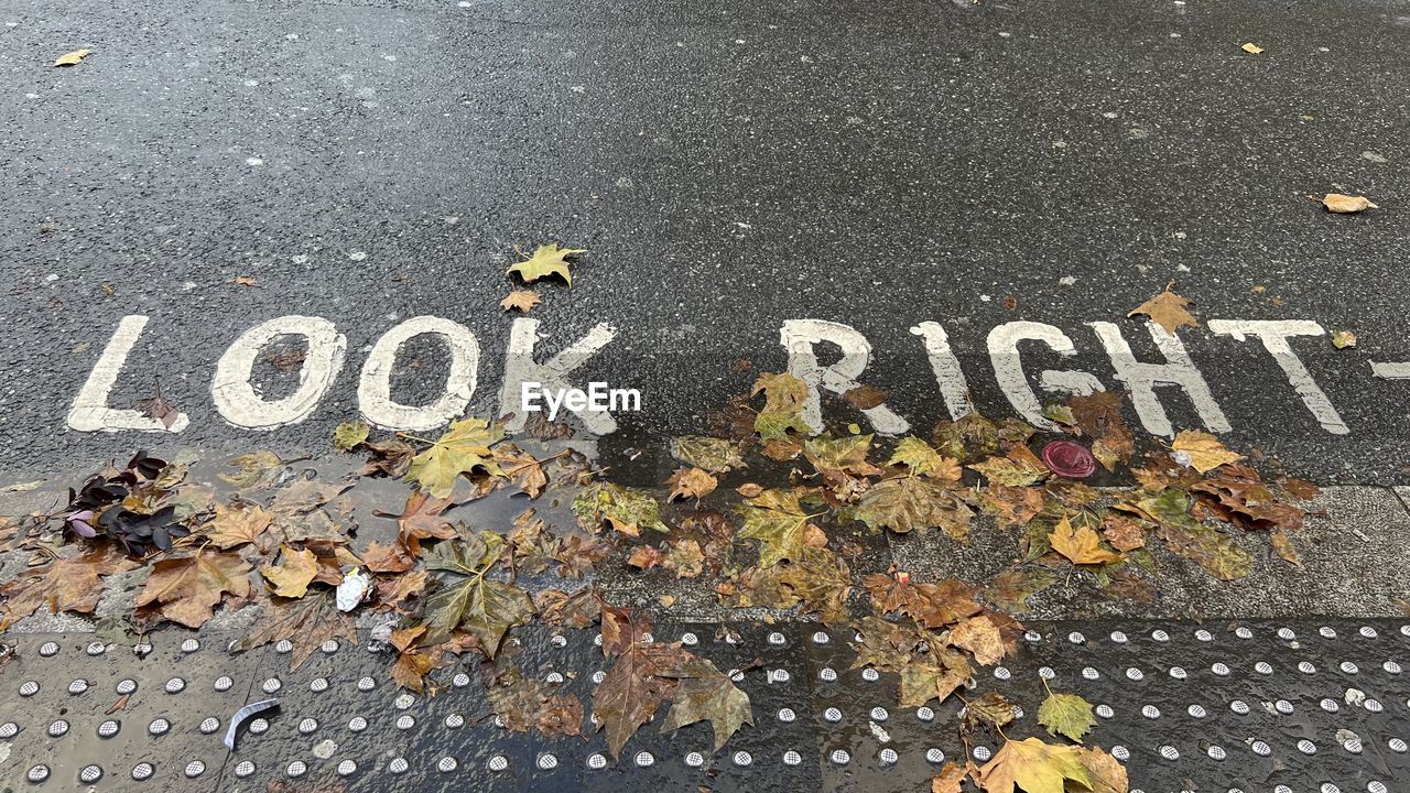 text, communication, western script, road, sign, high angle view, leaf, street, plant part, city, day, no people, transportation, symbol, asphalt, road marking, autumn, marking, outdoors, nature, leaves, road surface, footpath