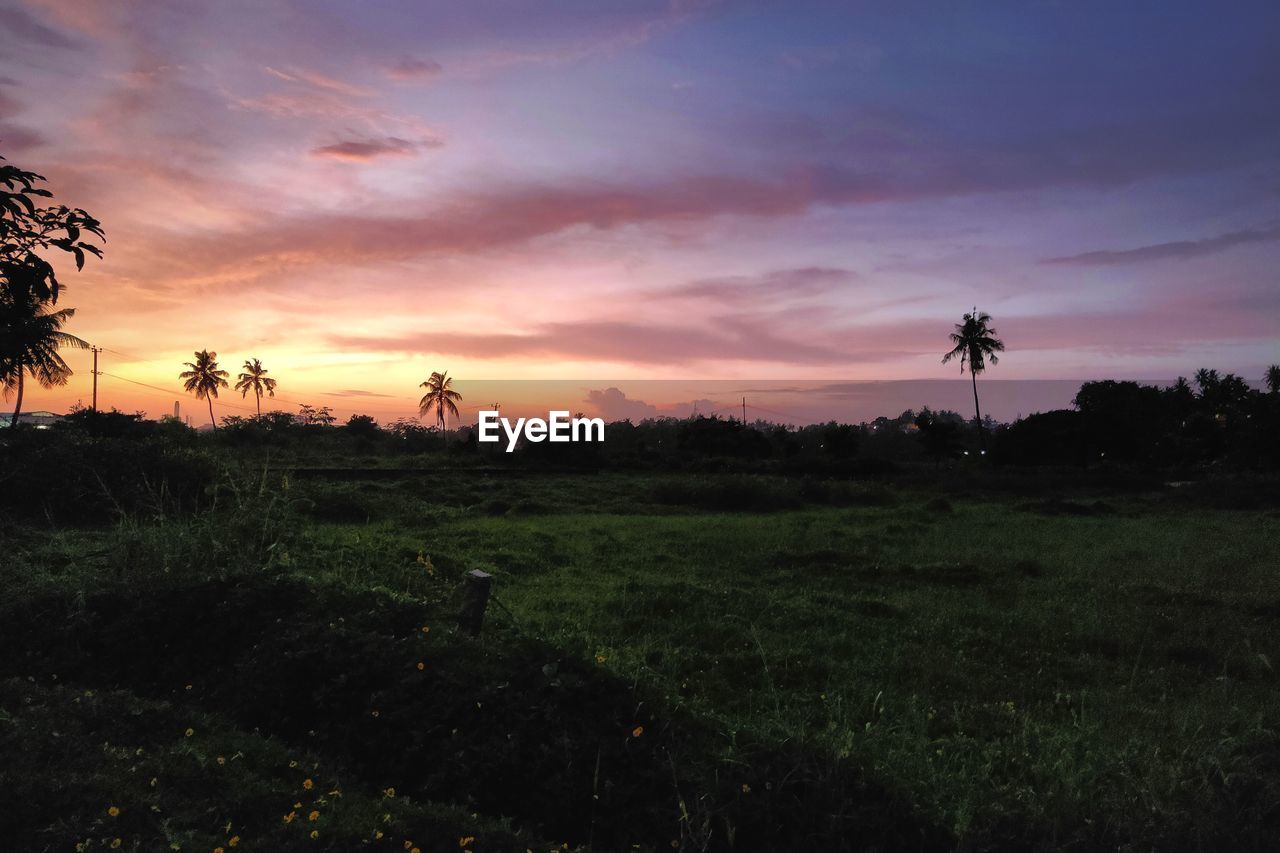 SCENIC VIEW OF SUNSET OVER LAND